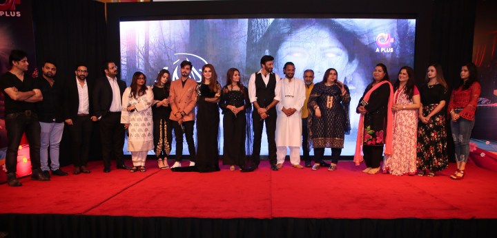 cast-and-crew-of-dil-nawaz.jpg